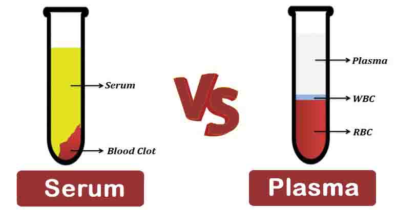 Serum vs. Plasma